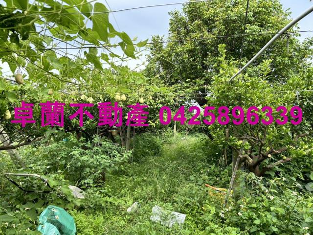 苗栗卓蘭農地-4