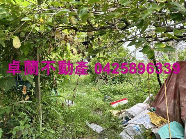 苗栗卓蘭農地-5