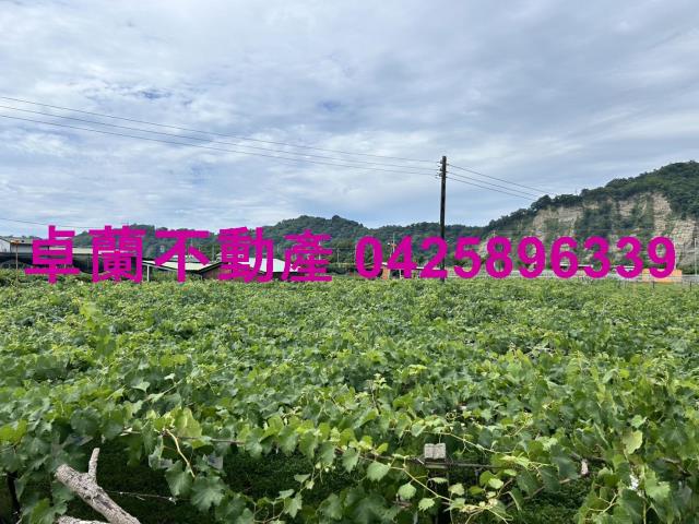 苗栗卓蘭農地-6