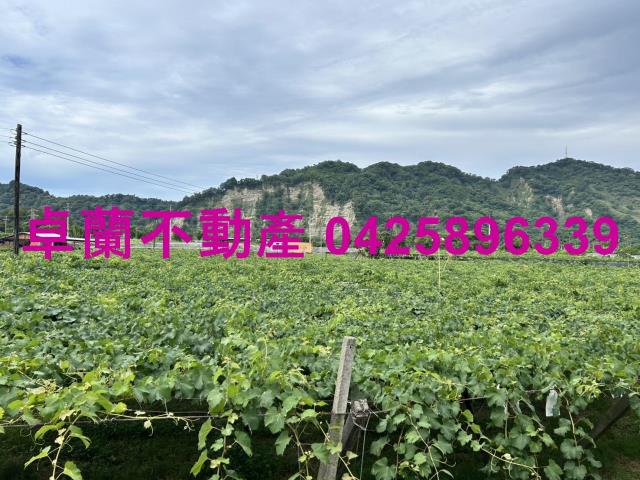 苗栗卓蘭農地-7