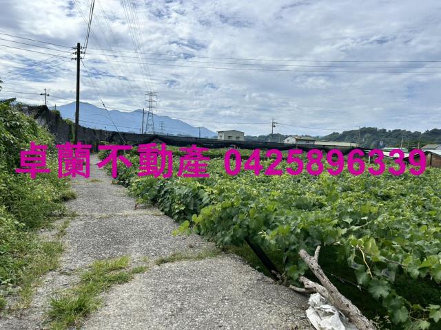 苗栗卓蘭農地-8