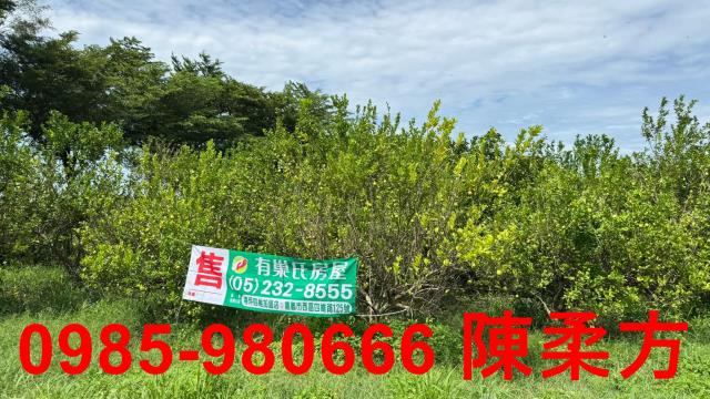 新港農地-10