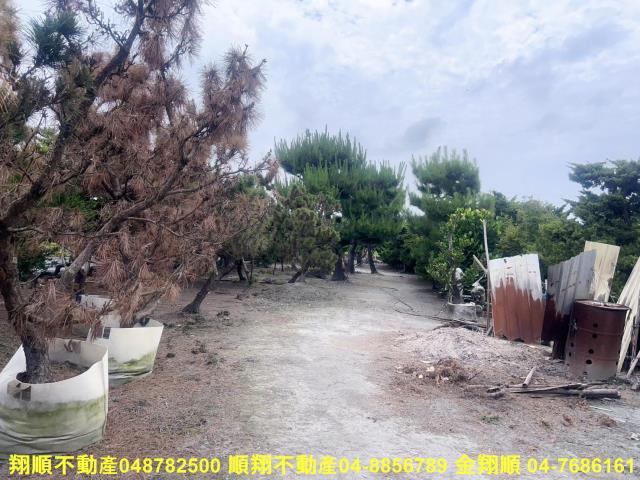 彰化農地-15