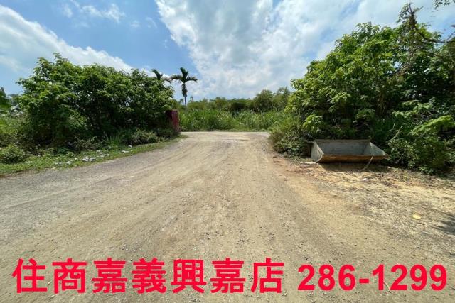 嘉義農地-7