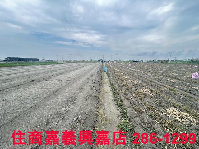 雲林農地-3