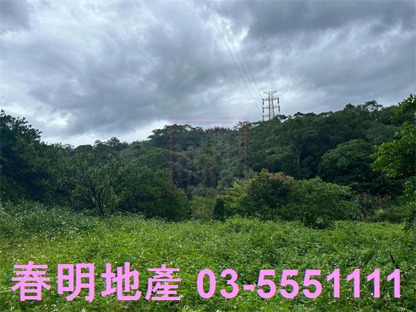 新竹峨眉農地-2
