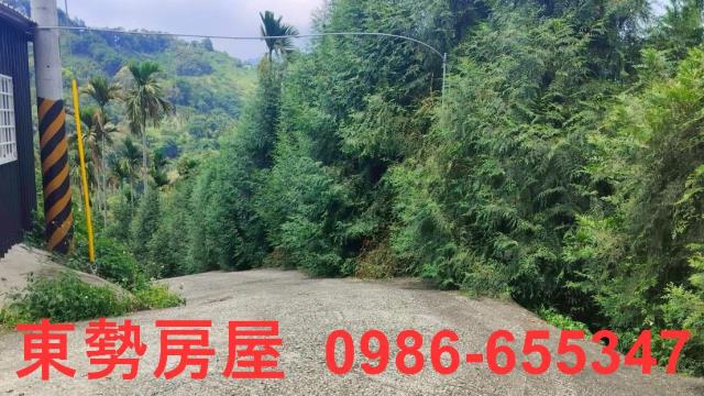 和平農地-2