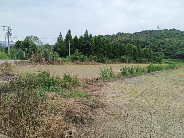 桃園農地-2