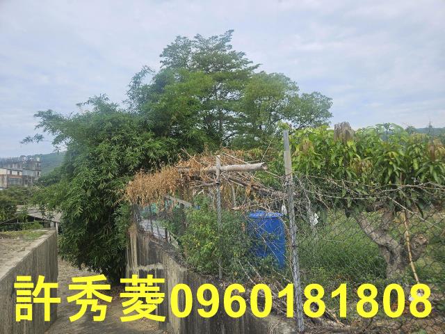 高雄田寮農地-8
