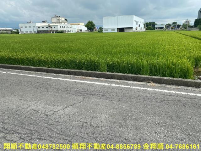 秀水農地-1