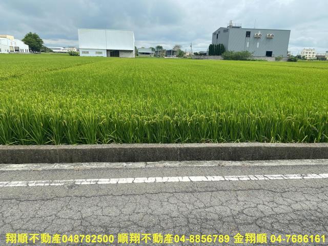 秀水農地-4