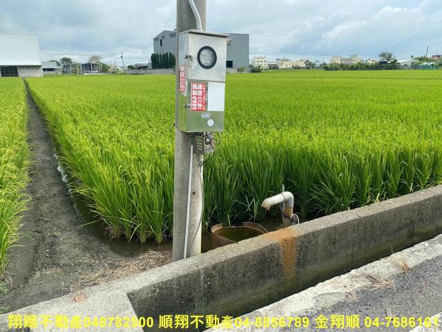秀水農地-5