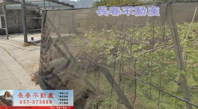 卓蘭農地-3