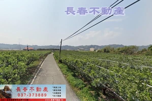 卓蘭農地-4