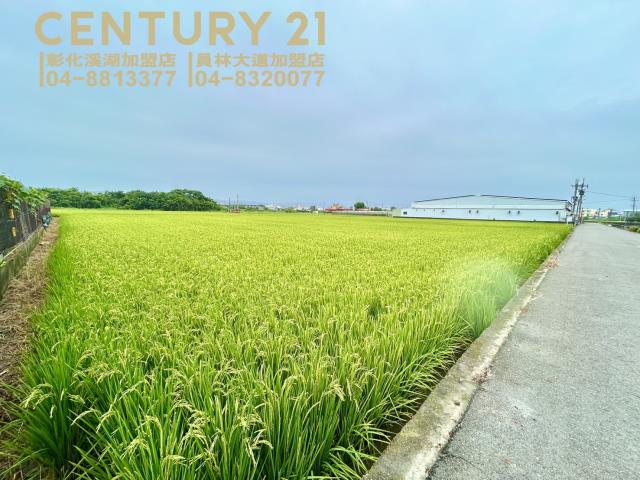 彰化農地-3