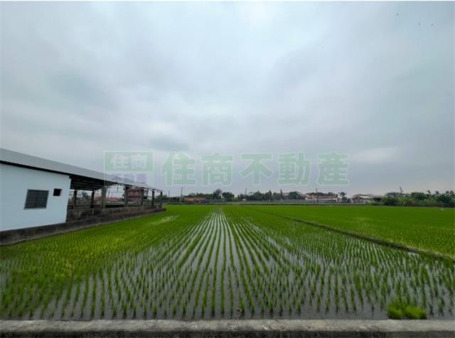 高雄美濃農地-4