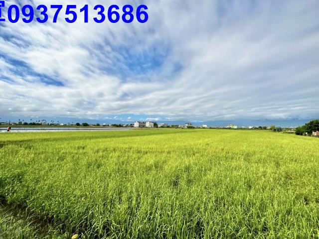 宜蘭壯圍農地-3