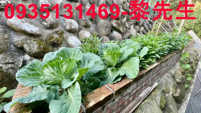 芎林農地-9
