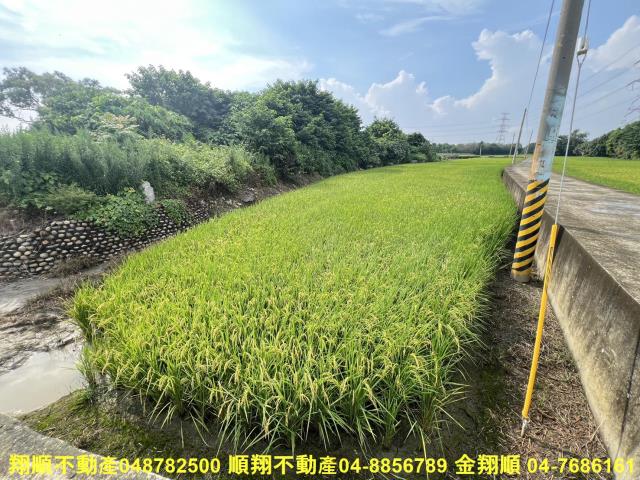 彰化農地-5