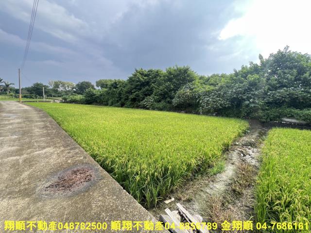 彰化農地-7