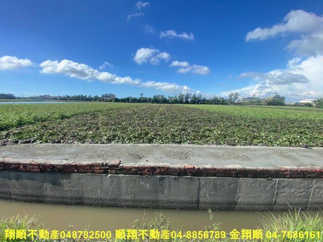 彰化農地-6
