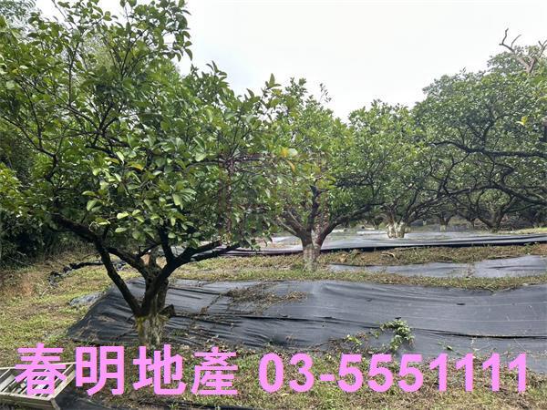 峨眉農地-3