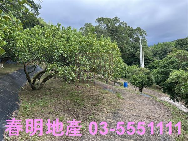 峨眉農地-4