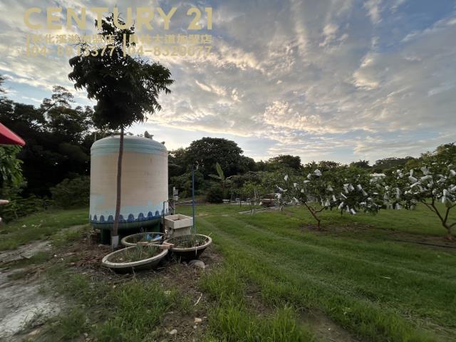 員林農地-4