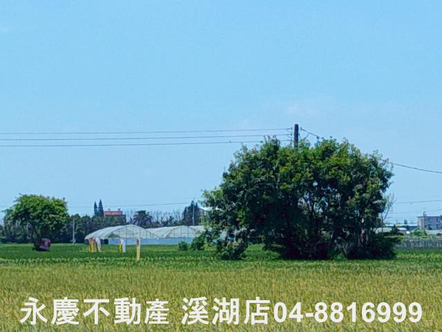 埔鹽農地-7