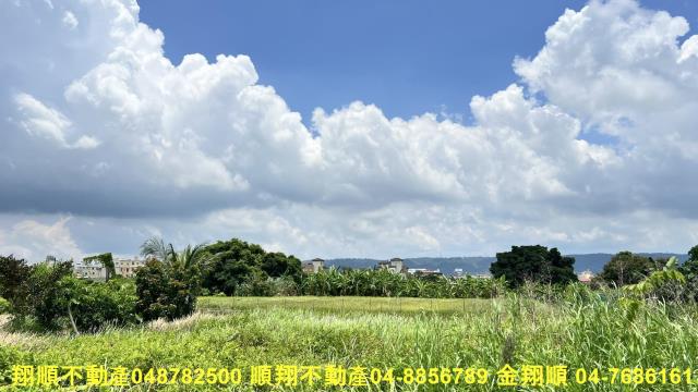 員林農地-2