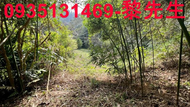 新竹農地-9