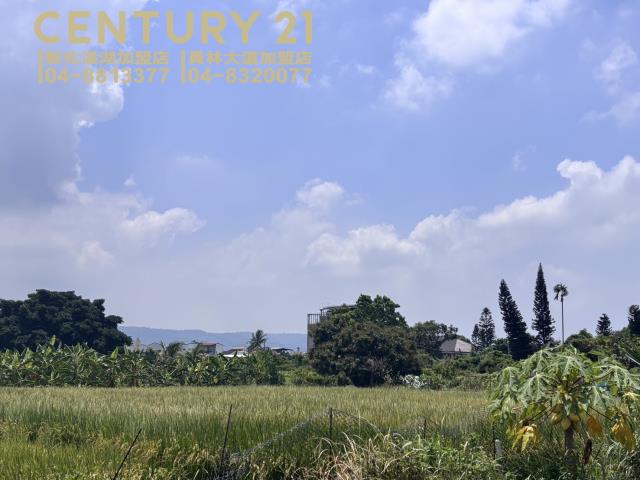 員林農地-3