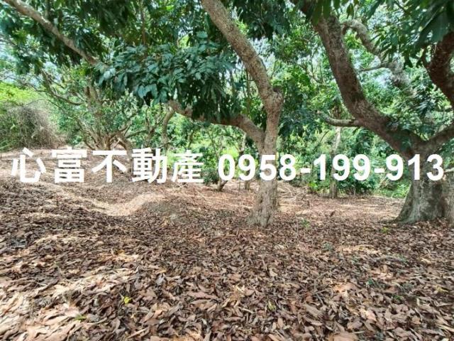田寮農地-1
