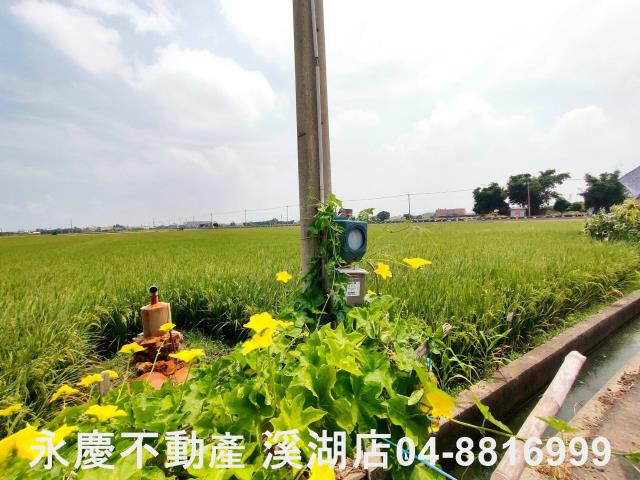 彰化埔鹽農地-1
