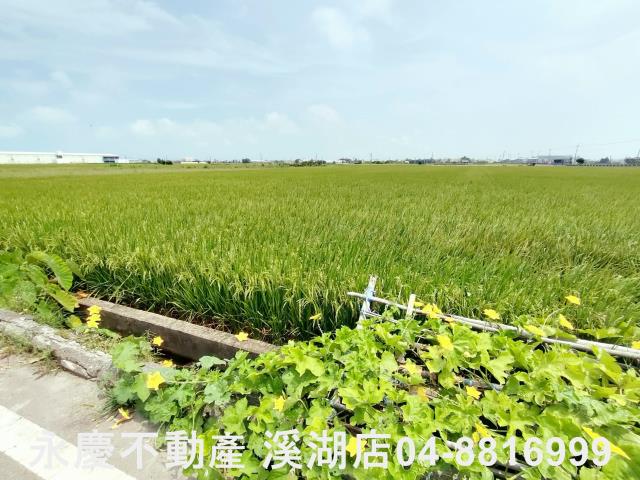 彰化埔鹽農地-6