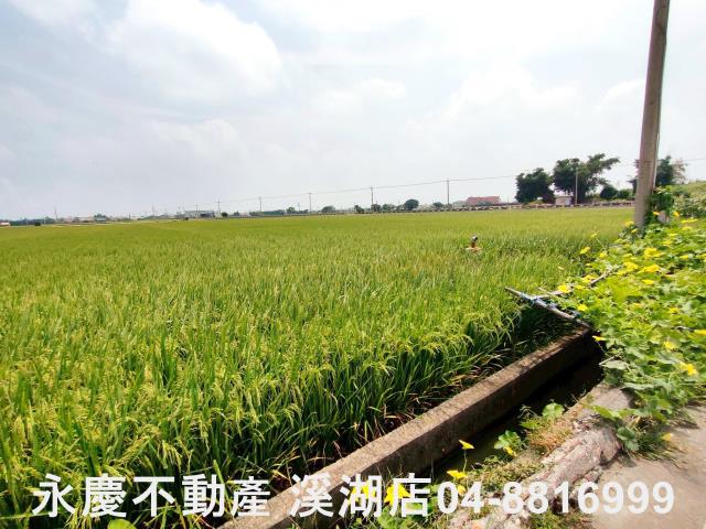 彰化埔鹽農地-7