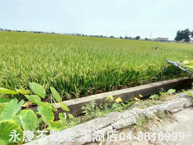 彰化埔鹽農地-10
