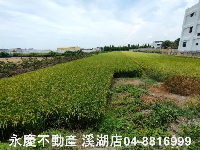 彰化埔心農地-3