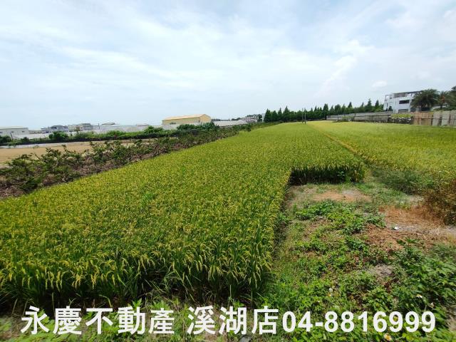 彰化埔心農地-4