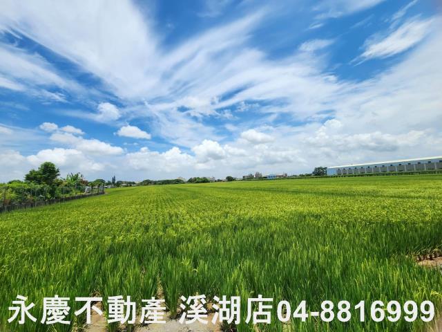 竹塘農地-1