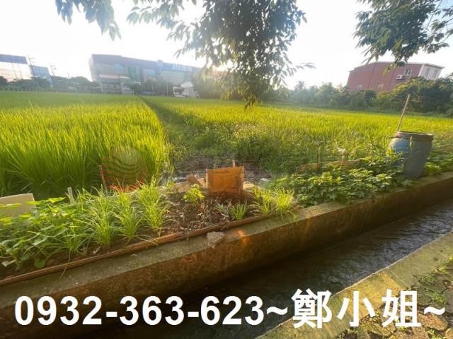 中壢農地-14