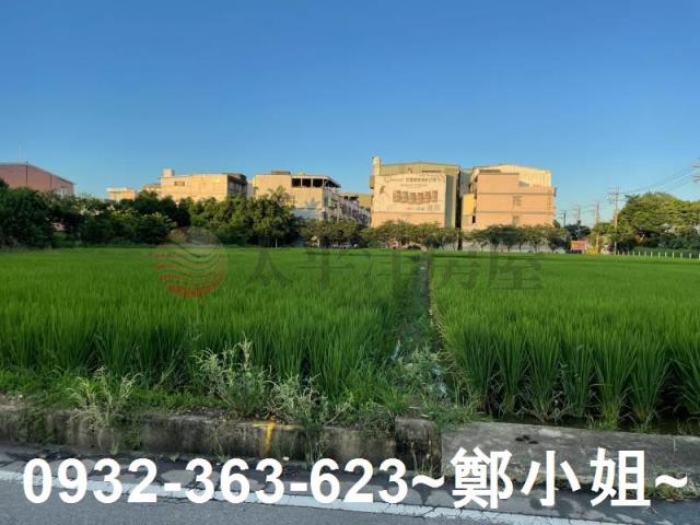 中壢農地-3