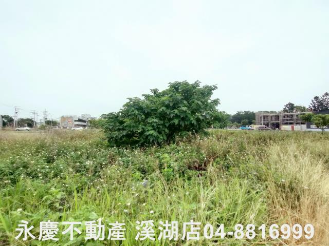 埤頭建地-1