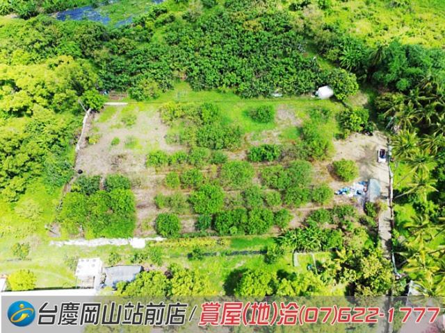 高雄橋頭農地-2