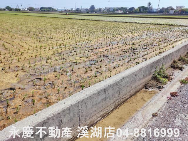 彰化埔鹽農地-9