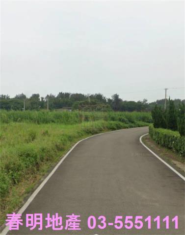 桃園新屋農地-2