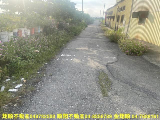 埤頭農地-9