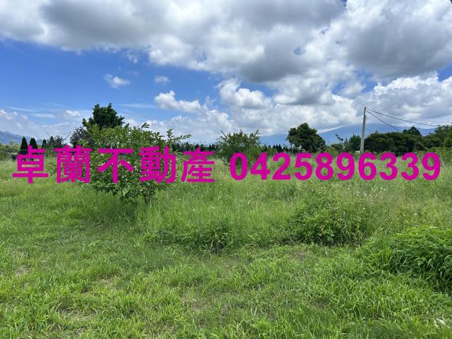 苗栗卓蘭農地-1