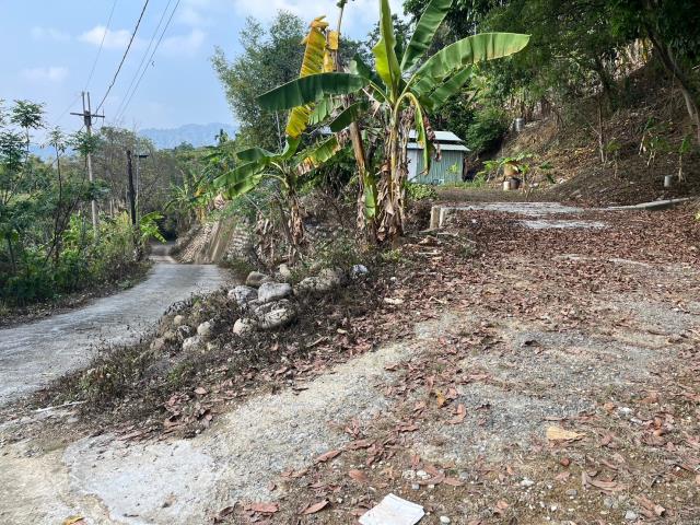 台中太平農地-14