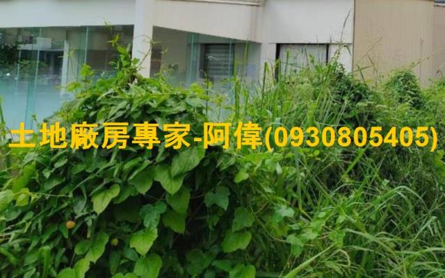 高雄左營住宅地-1